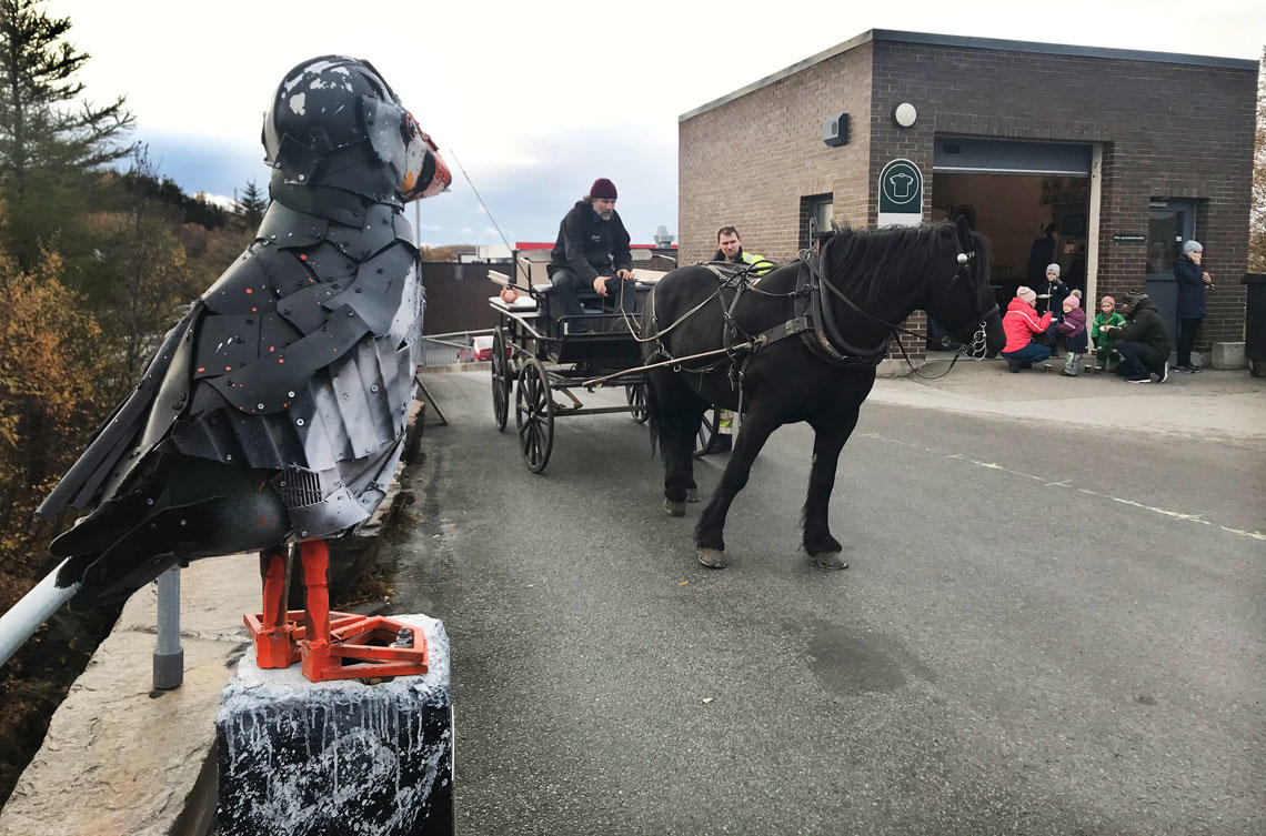 hest på miljøtorg Bodø